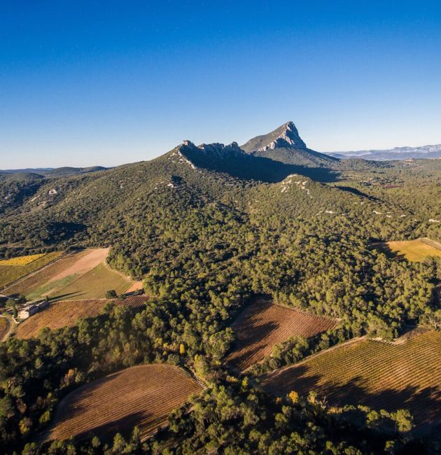 randonnée pic saint loup