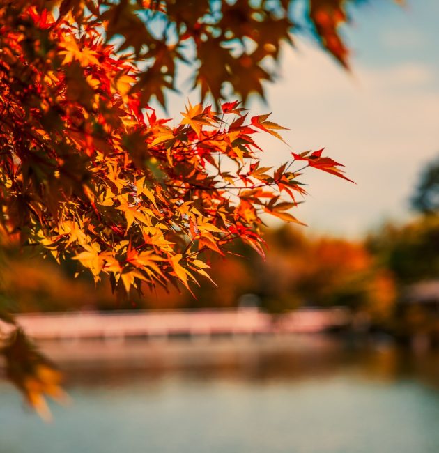 automne france