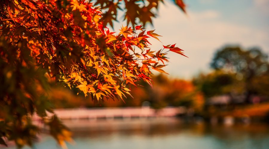 automne france