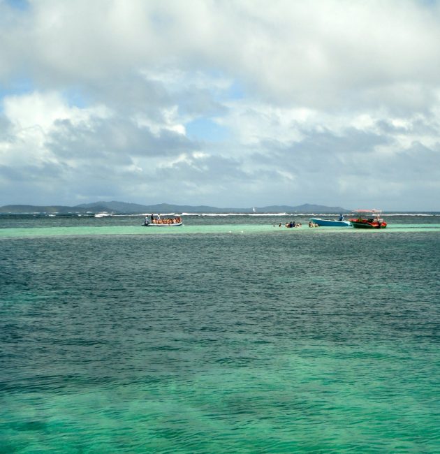 fonds blancs martinique