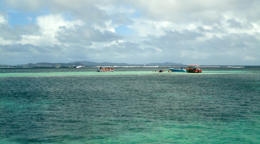 fonds blancs martinique