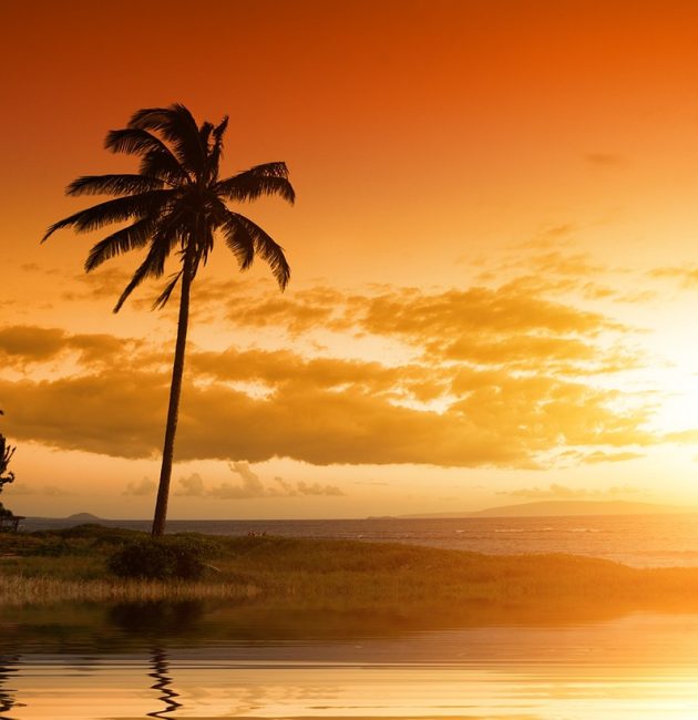 martinique en 10 jours