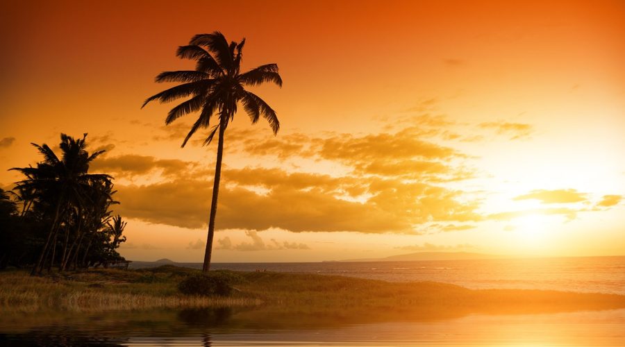 martinique en 10 jours