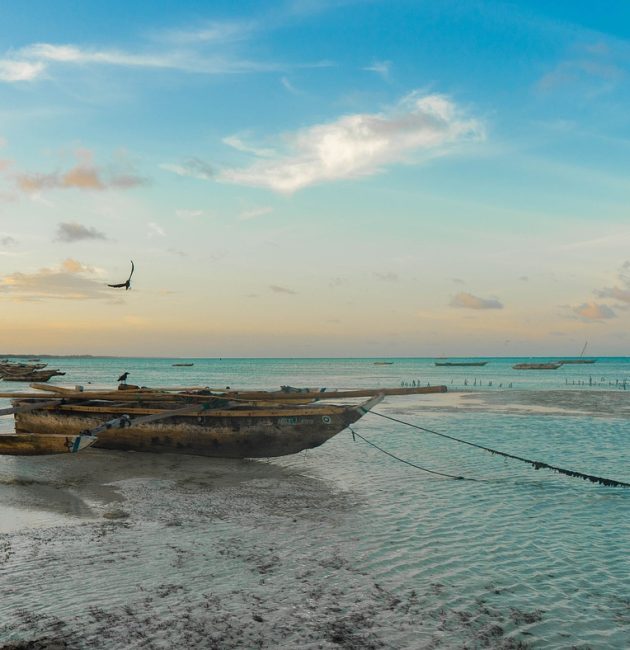 plage tanzanie