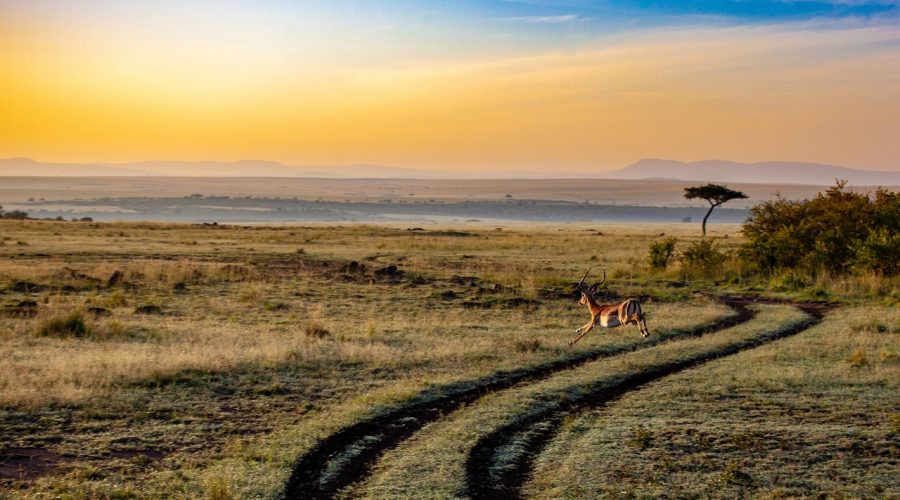 voyage kenya couple