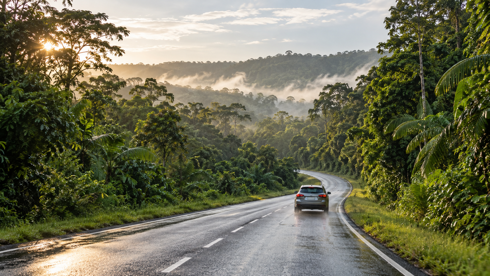 Voiture sur une route bordée de forêt tropicale en Guyane